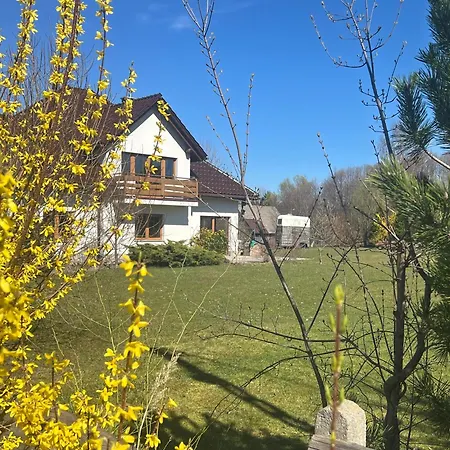 Mirabelka Mucharz